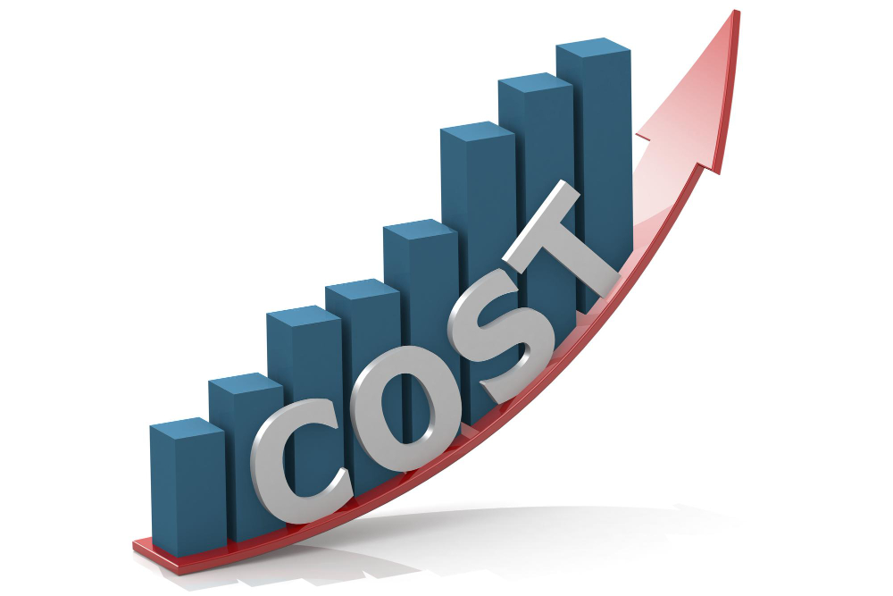 Off-the-Shelf Software: The Hidden Costs Add Up