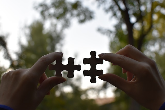long term partnership of software development firm