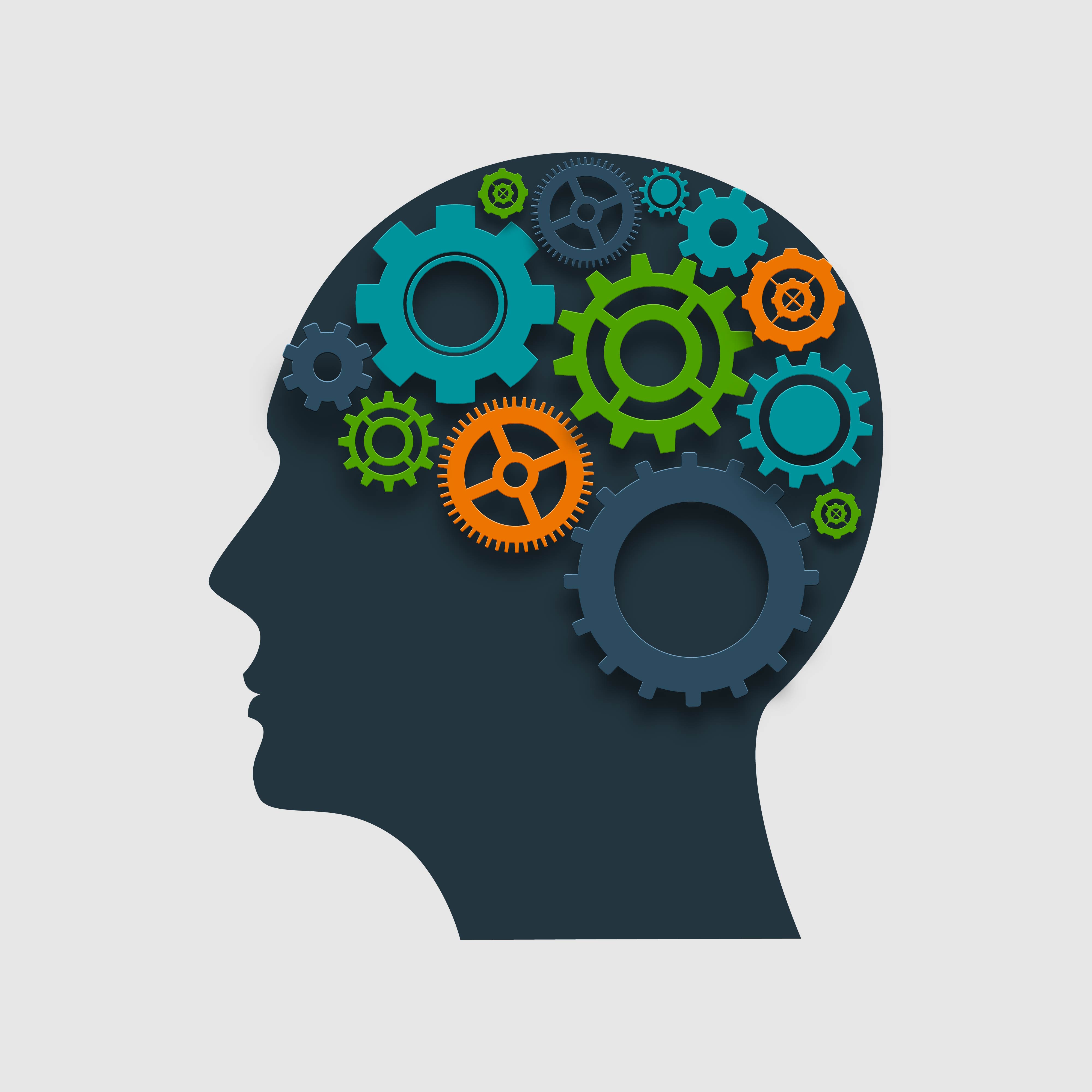 The Value of Custom Software in the Long-Term of the Enterprise: